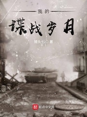 我的諜戰歲月小说