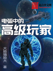 電弧中的高級玩傢