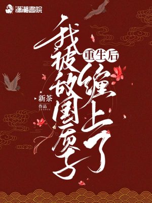 重生後我被敵國質子纏上瞭