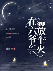 在六爺心上放個火小说