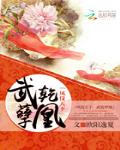 鳳儀九天：武乾孽凰