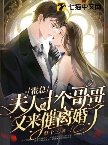 霍總，夫人的十個哥哥又來催離婚瞭