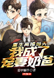 重生離婚當天，我成瞭寵妻奶爸
