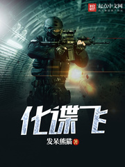 化諜飛小说